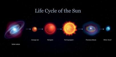 sonnenlebenszyklus eingestellt vektor