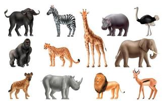 realistiska djur afrika set vektor