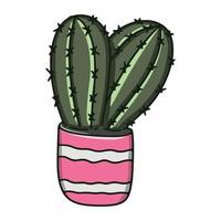 grüner kaktus in einem rosa topf isolierte illustration vektor