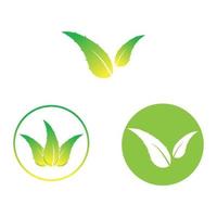 aloe vera logotyp design ikon vektor