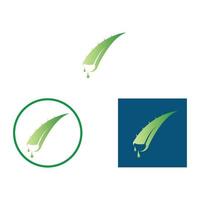 aloe vera logotyp design ikon vektor