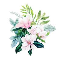 Magnolie und Blätter, heller Aquarellblumenstrauß mit Farn, handgezeichnete Vektorillustration vektor