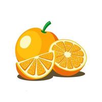 orange frukt vektor illustration. bra för färsk fruktprodukt eller designmall. platt färg handritad stil