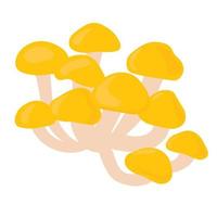 Pilze Nameko-Vektorvorratillustration. isoliert auf weißem Hintergrund. Buttermilch, gelbe Honigpilze. vektor