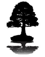 japanische Bonsai-Baum-Silhouette auf weißem Hintergrund vektor