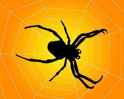 Spinnennetz mit orangefarbenem Hintergrund vektor