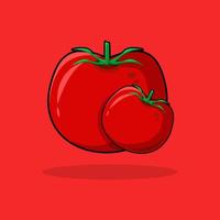 röd tomat färsk frukt grönsak ritnings vektor