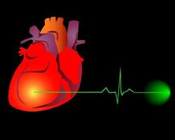 hjärta med kardiogrammet vektor