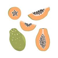 uppsättning handritade papayaelement i olika former. exotisk frukt illustration vektor