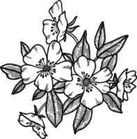 linie kunst frühlingsblumenillustration vektor