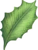 grönt tropiskt palmblad. tropisk växt. handmålad akvarell illustration isolerade på vitt. vektor