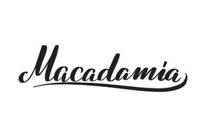 inspirerande handskriven borste bokstäver macadamia. vektor kalligrafi illustration isolerad på vit bakgrund. typografi för banderoller, märken, vykort, t-shirt, tryck, affischer.