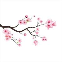 zweig baum vektorillustration sommer clipart herbst clipart natur wald, hintergrund kirschblüte frühlingsblume japan, zweig der blühenden sakura mit blumen, kirschblüte vektor