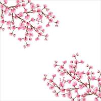 kirschblüte, sakura-rosa blumenhintergrund, kirschblütenfrühlingsblumenhintergrund, hintergrundkirschblütenfrühlingsblume japan vektor