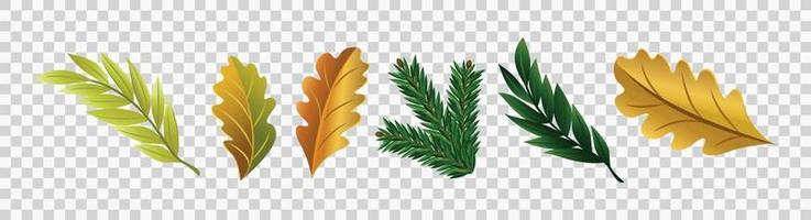 Blätter Symbole setzen Vektor