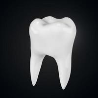 fotorealistisk vektorillustration av en vit tand. vektor