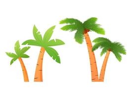 satz von palmen mit kokosnüssen von tropischen pflanzen. flache illustration des vektors. lokalisiert auf einem weißen hintergrund. vektor