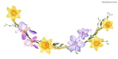 dekorativer aquarellbogen mit frühlingsblumen narzisse und iris und freesien auf weißem hintergrund, nachgezeichnet vektor