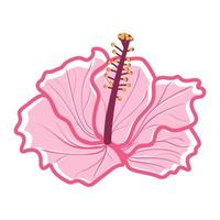tropisk hibiskus blomma dekorativ exotisk växt vektor