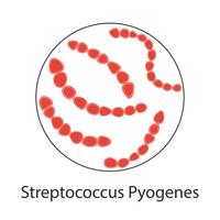 Streptococcus pyogenes. Karikaturillustration der Streptococcus-pyogenes-Vektorikone für Netz. vektor