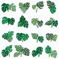 boho monstera leaf frihandsritning platt design. vektor