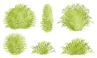 grön buske, trädbuske isolerad på vit bakgrund vektor