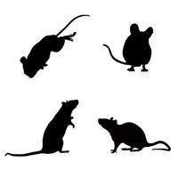 schwarze Silhouette einer Maus auf weißem Hintergrund. Vektorbild.