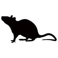 schwarze Silhouette einer Maus auf weißem Hintergrund. Vektorbild. vektor