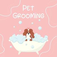 frisörsalong. banner för grooming salong. vektor illustration i tecknad stil. söt spaniel i ett bubbelbad. husdjursomsorg.