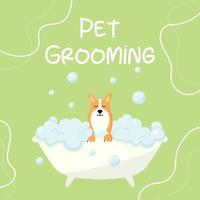 frisörsalong. banner för grooming salong. vektor illustration i tecknad stil. söt corgi i ett bubbelbad. husdjursomsorg.