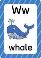 whale vektor isolerad på vit bakgrund bokstav w flashcard whale cartoon