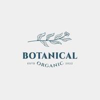 botanisk logotyp formgivningsmall, olivolja, blommig logotyp, feminin logotyp, skönhetslogotyp premium vektor