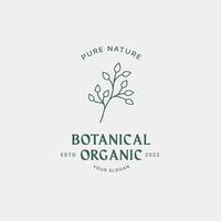 Botanische Logo-Designvorlage, Olivenöl, Blumenlogo, feminines Logo, Schönheitslogo-Premium-Vektor vektor
