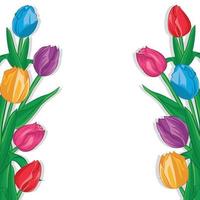 vackra tulpaner färgglada blommor banner bakgrund vektor