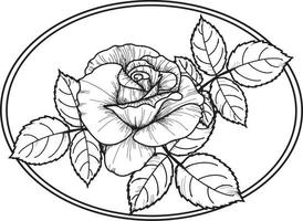 dekorative Rose mit Blättern in einem Oval. Vektorillustration auf transparentem Hintergrund vektor