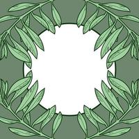 ein quadratisches Banner mit grünen Olivenzweigen. vektorillustration mit einem runden leeren raum für text. Entwurf vektor