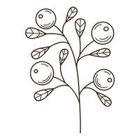 ein Zweig mit Beeren und Blättern. Preiselbeere, eine Waldpflanze. botanisches, pflanzliches Gestaltungselement mit Umriss. gekritzel, handgezeichnet. flaches Design. schwarz-weiße Vektorillustration. isoliert auf weiß vektor