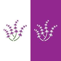 färsk lavendel blomma logotyp vektor