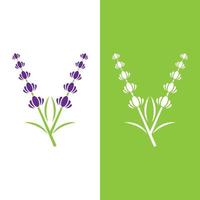 färsk lavendel blomma logotyp vektor