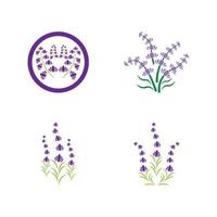 färsk lavendel blomma logotyp vektor