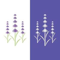 färsk lavendel blomma logotyp vektor