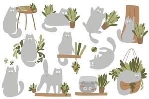 uppsättning fanny cats karaktärer och växter. vektor karaktär söt kattunge. mysigt hem med växter och grå katt. tecknade djur bakgrund, vektor illustration