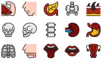 Reihe von Vektorsymbolen im Zusammenhang mit dem menschlichen Körper. enthält Symbole wie Muskeln, Nase, Bauchspeicheldrüse, Becken, Schädel, Haut und mehr.