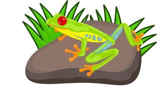 Vektorgrafik eines bunten und giftigen Frosches, der auf einem Felsen mit Buschgras sitzt. auf weißem Hintergrund. ideal für Weblogos und Kinderbuchumschläge. vektor