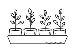 plantor i krukor, vektorillustration av trädgårdsarbete blomma plantskola doodle stil. vektor