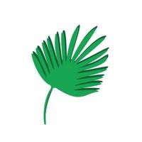 tropiska palmblad isolerade på vitt. vektor illustration av ett enda blad av en grön växt
