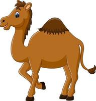 illustration des netten lustigen kamels vektor