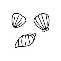 süße Muscheln in verschiedenen Formen isoliert auf weißem Hintergrund. handgezeichnete Vektorgrafik im Doodle-Stil. perfekt für Sommerdesigns, Karten, Logos, Dekorationen. vektor