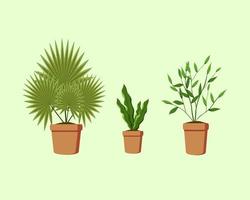 schöne grüne Topfpflanze, Design für die Dekoration zum Thema Natur vektor