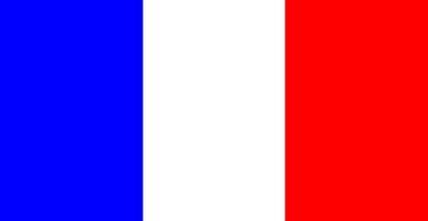 Farbe isolierte Vektorillustration der Flagge von Frankreich vektor